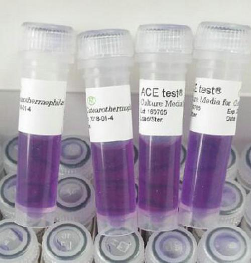 H3726T.jpg H3726T.jpg